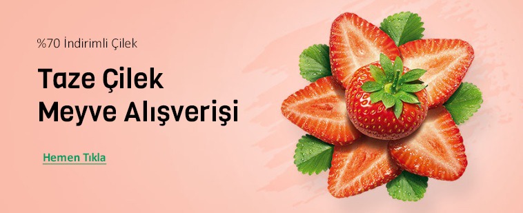 gıda 3